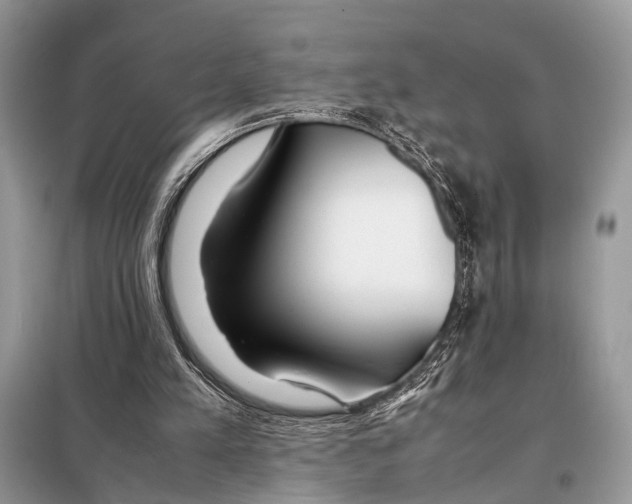X0000098080197200805021029