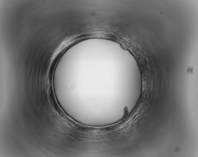 X0000098080198200805021029