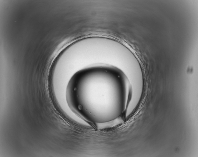 X0000098080199200805021029