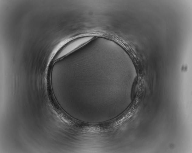 X0000098080200200805021029