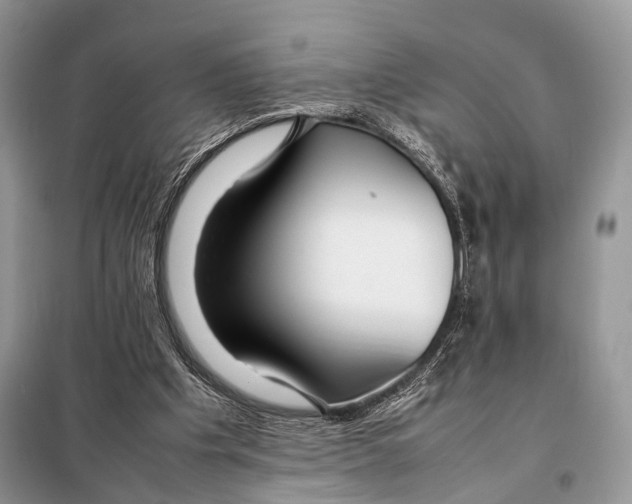 X0000098080201200805021029