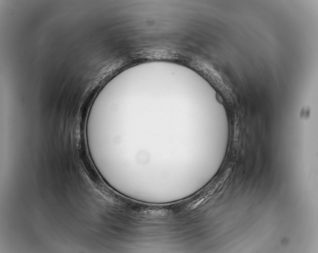 X0000098080202200805021029