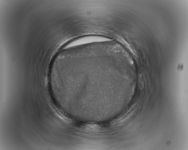 X0000098080203200805021029