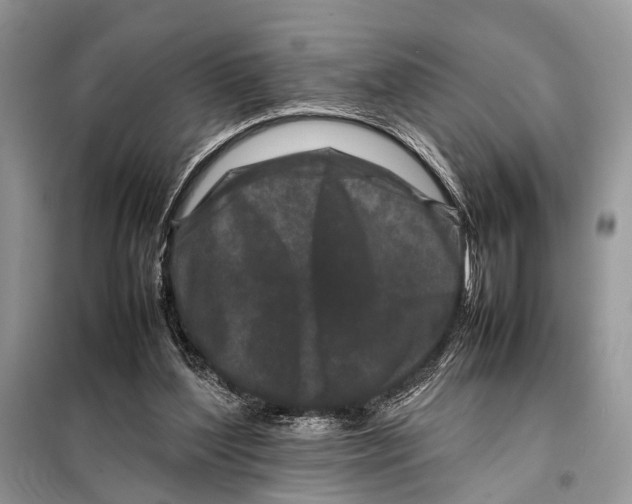 X0000098080204200805021029