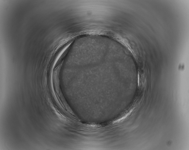 X0000098080205200805021029
