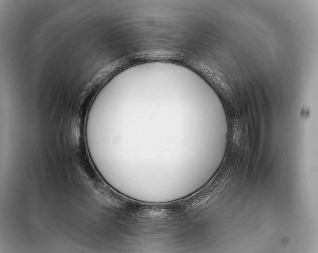 X0000098080206200805021029