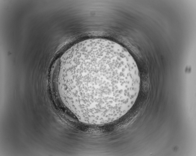 X0000098080207200805021029