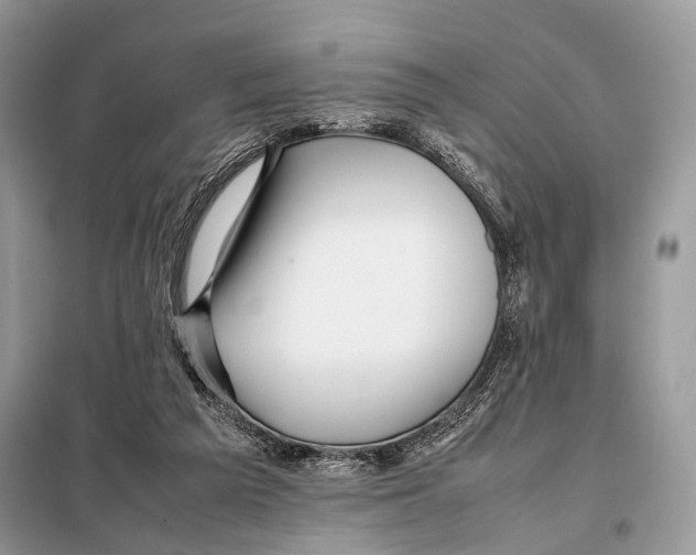 X0000098080209200805021029