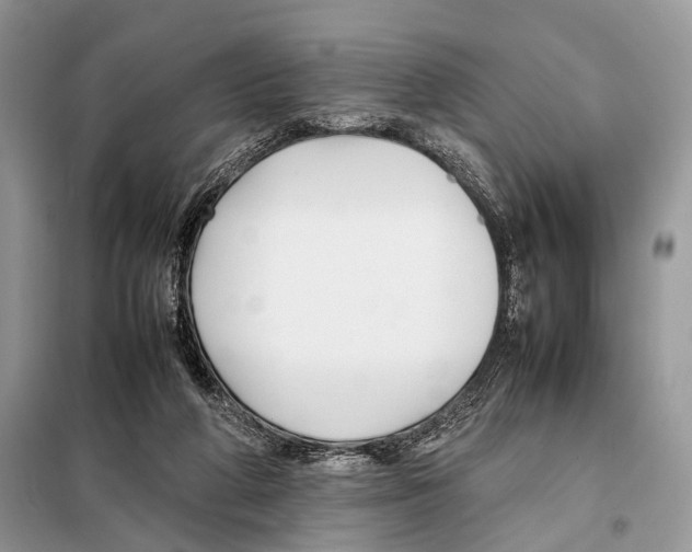 X0000098080210200805021029