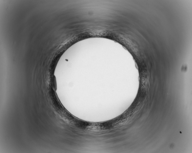 X0000098080211200805021029