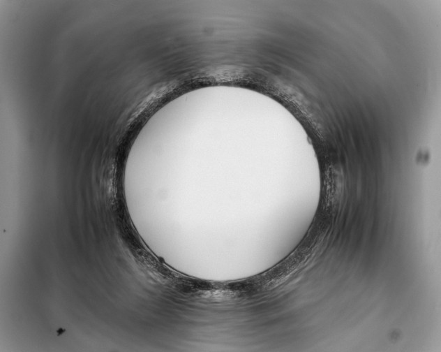 X0000098080212200805021029