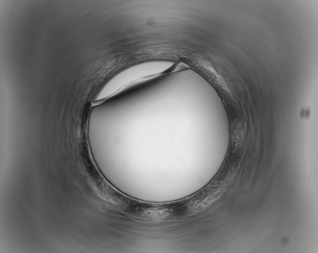 X0000098080213200805021029