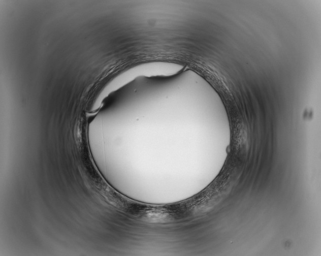 X0000098080214200805021029