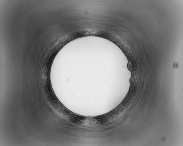 X0000098080215200805021029