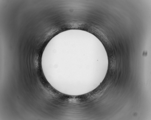 X0000098080216200805021029
