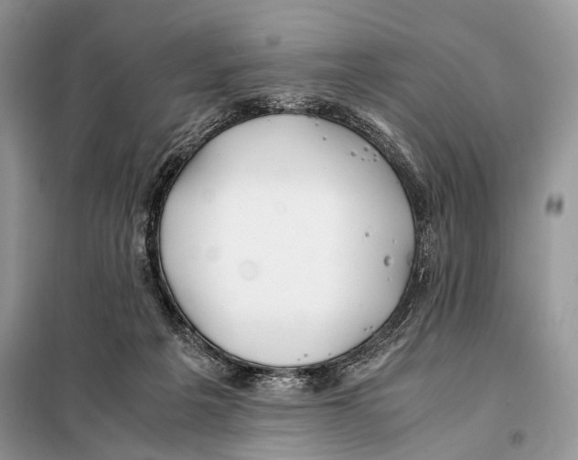 X0000098080217200805021029