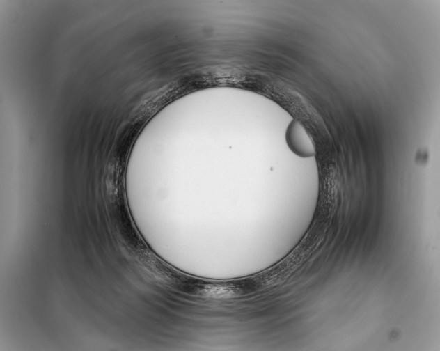 X0000098080218200805021029