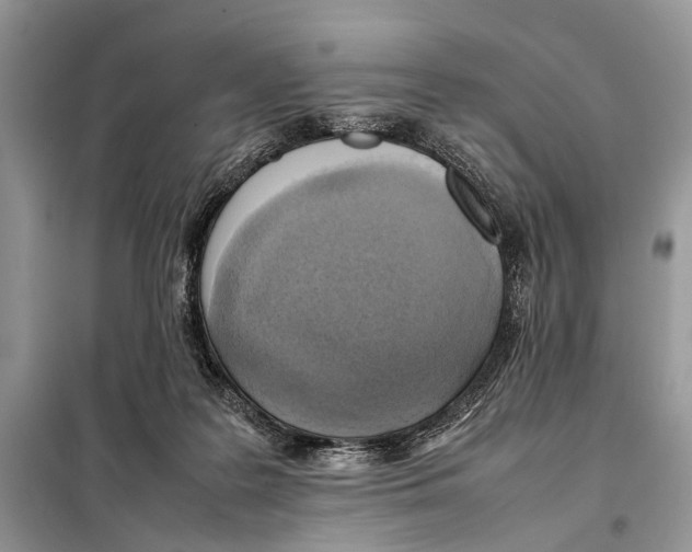 X0000098080219200805021029