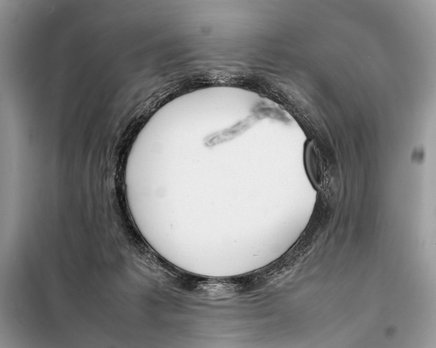 X0000098080221200805021029