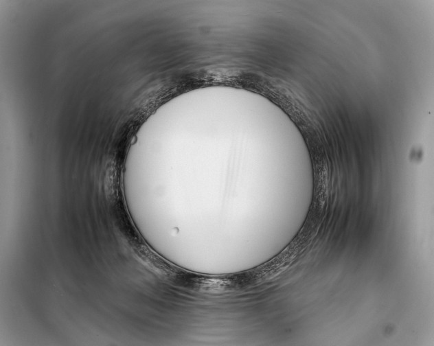 X0000098080222200805021029