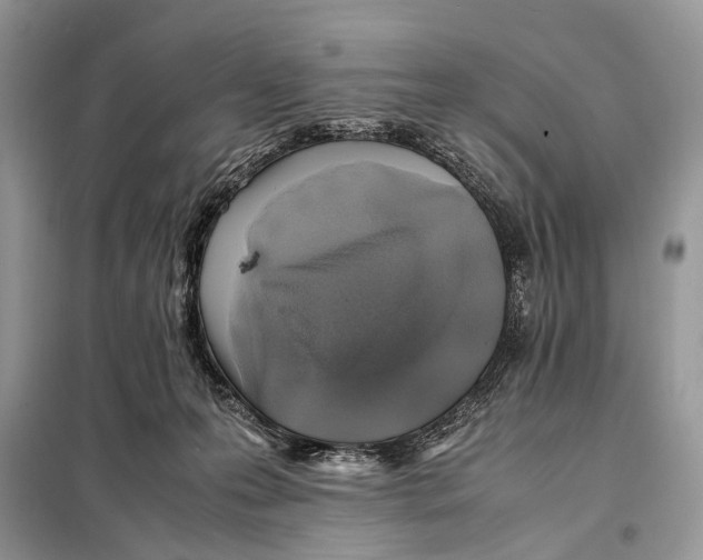 X0000098080223200805021029