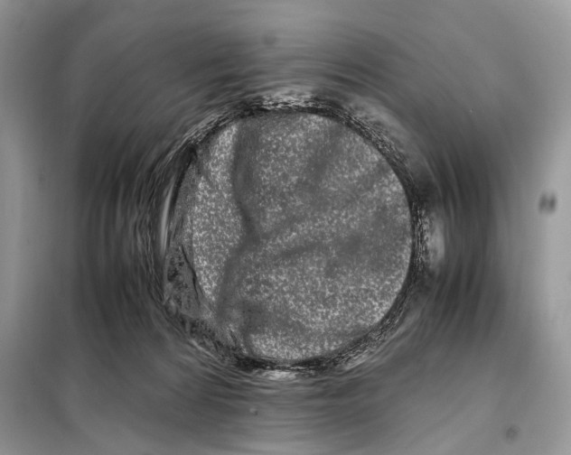 X0000098080224200805021029