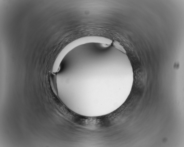 X0000098080225200805021029