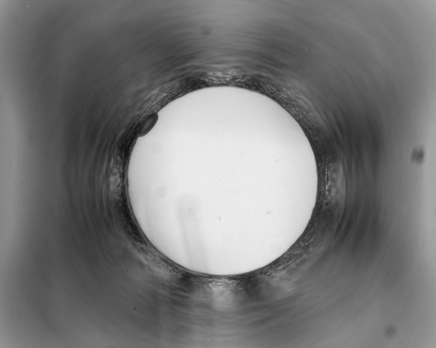 X0000098080226200805021029