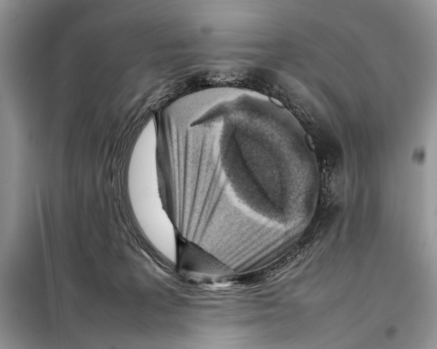 X0000098080227200805021029