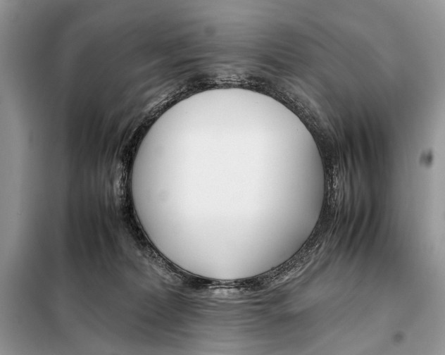 X0000098080228200805021029