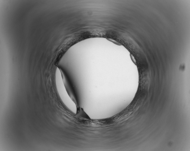 X0000098080229200805021029