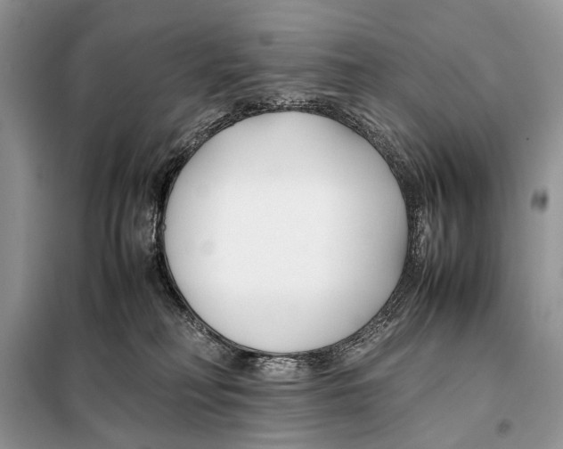X0000098080230200805021029