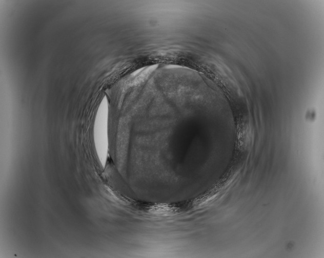 X0000098080231200805021029