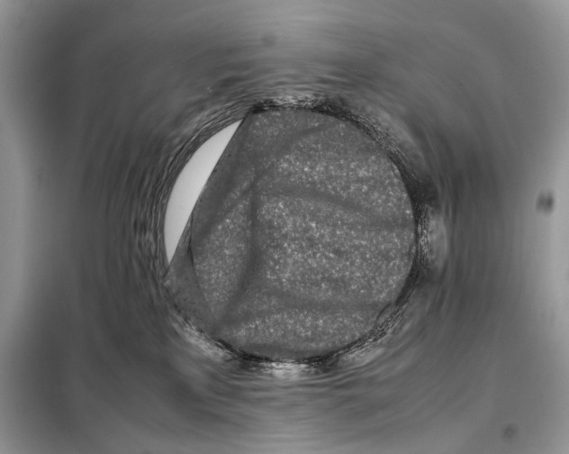 X0000098080233200805021029
