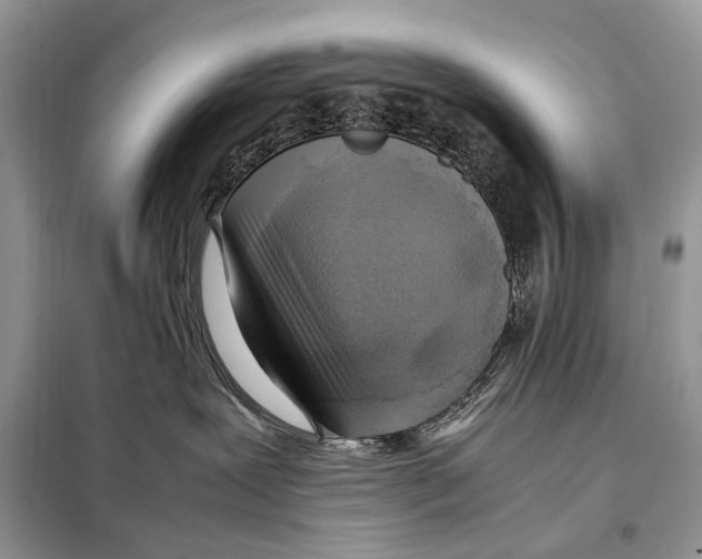 X0000098080239200805021029