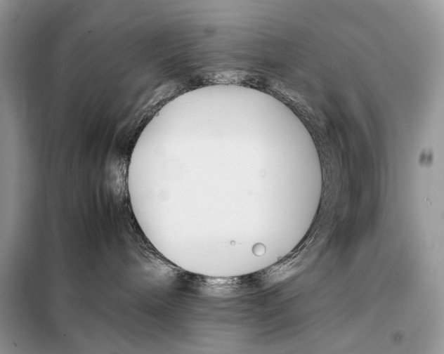 X0000098080240200805021029
