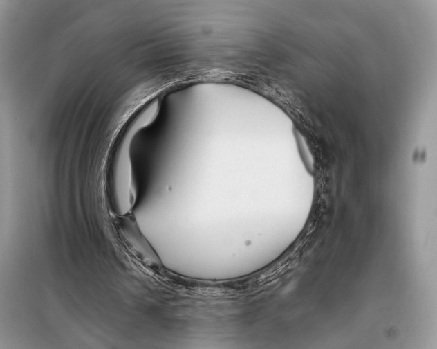 X0000098080242200805021028