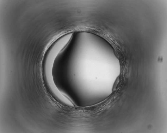 X0000098080244200805021028