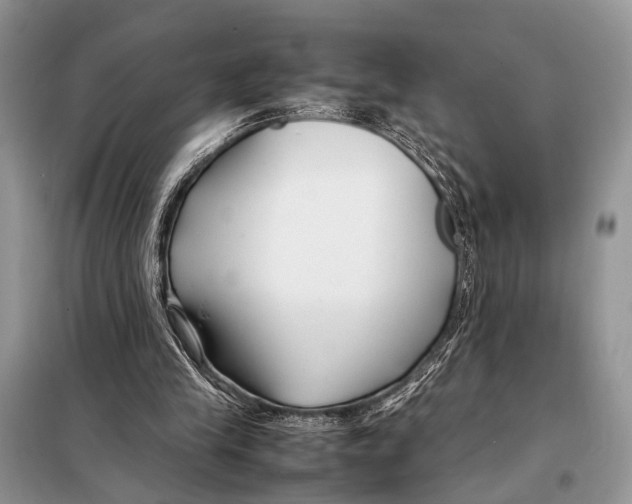 X0000098080245200805021028