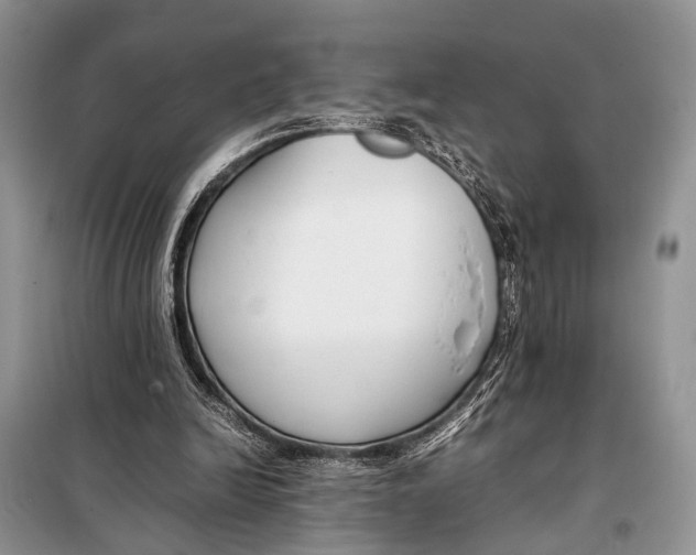 X0000098080246200805021028