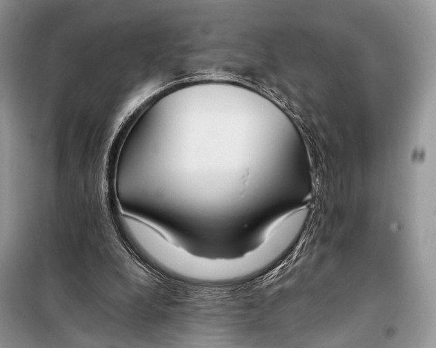 X0000098080248200805021028