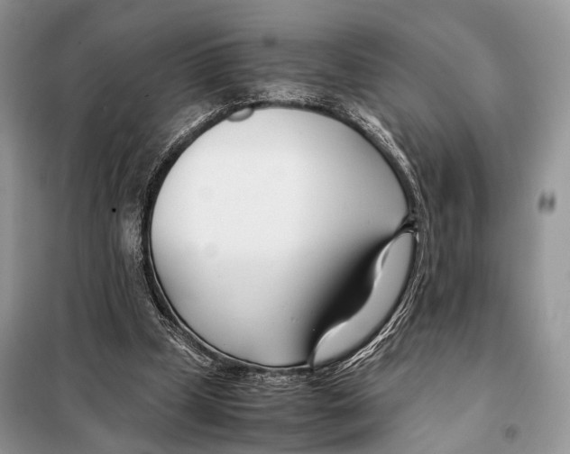 X0000098080249200805021028