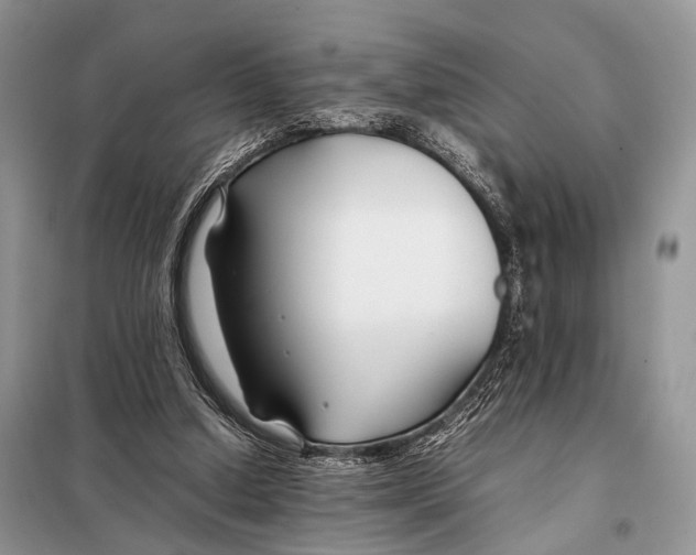 X0000098080250200805021028