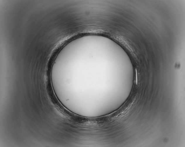 X0000098080252200805021028