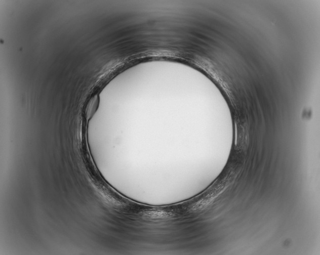 X0000098080253200805021028