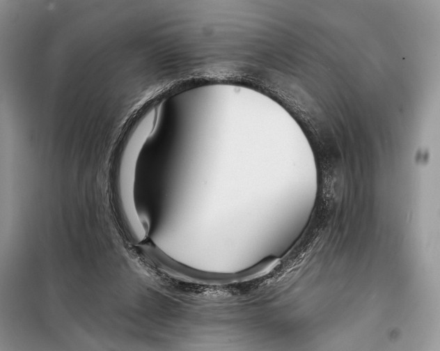 X0000098080256200805021028