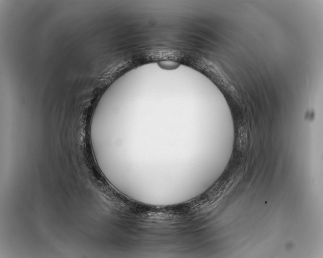 X0000098080259200805021028