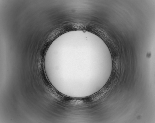 X0000098080266200805021028
