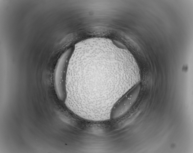 X0000098080268200805021028
