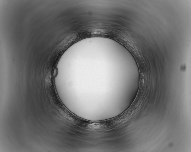 X0000098080269200805021028